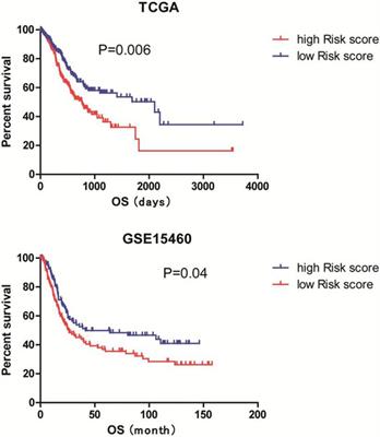 Establishment of a Prognostic Signature of Stromal/Immune-Related Genes for Gastric Adenocarcinoma Based on ESTIMATE Algorithm